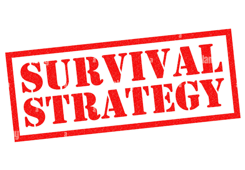 Urban Survival Strategies